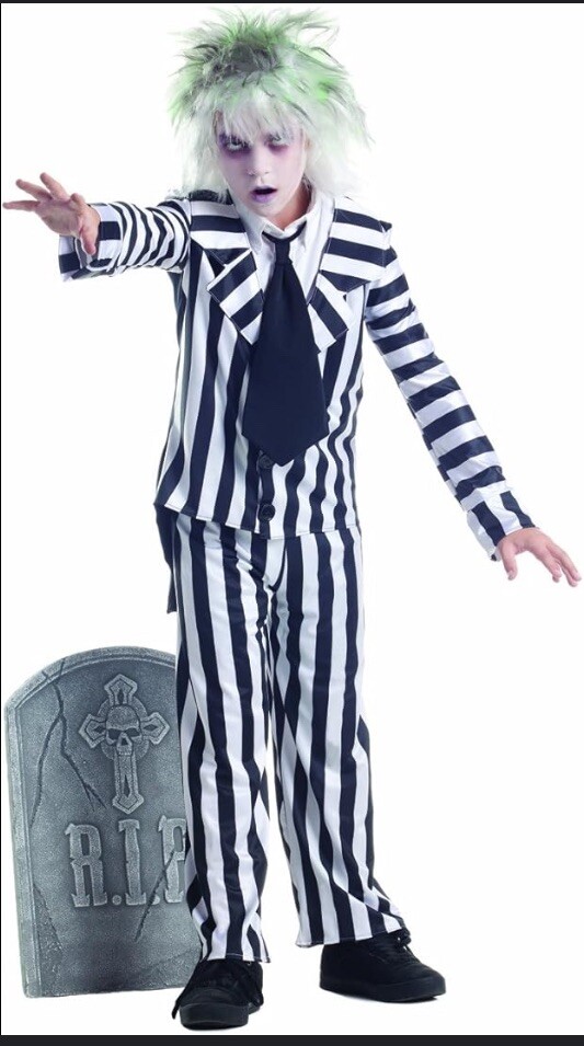 RYESVILLE グレートスモーキー BAA Costume Mfg Graveyard Ghost Costume Big Boys' large 12-14 | eBay