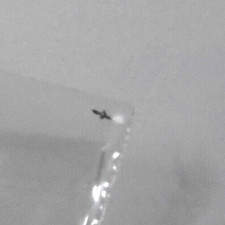 1 ILLINOIS 21/0 SIZE BALANCE STAFF 47631 PIVOT: 9 NOS --- BB-1179