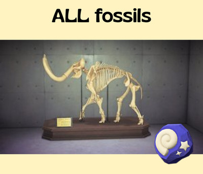 Animal Crossing: New Horizons | All fossils