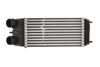 LadeluftküHler FüR CitroËN Peugeot C2 C3 Picasso I II 207 CC SW 207/207+ 1007