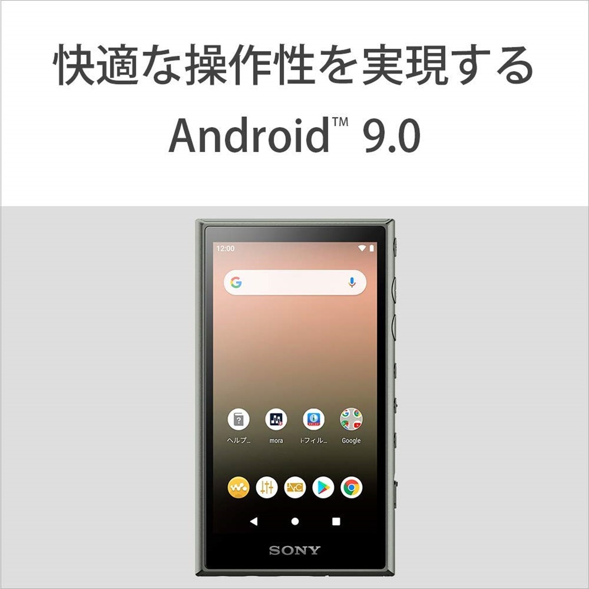 SONY NW-A105 Walkman Portable Audio Player High Res 16GB English