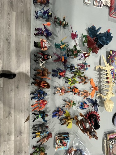 1985 Masters of the Universe Full Set Of Figures With Books, Case, And Poster.