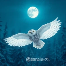 Digital Image Picture Photo Wallpaper Background Desktop AI Art Sample Product