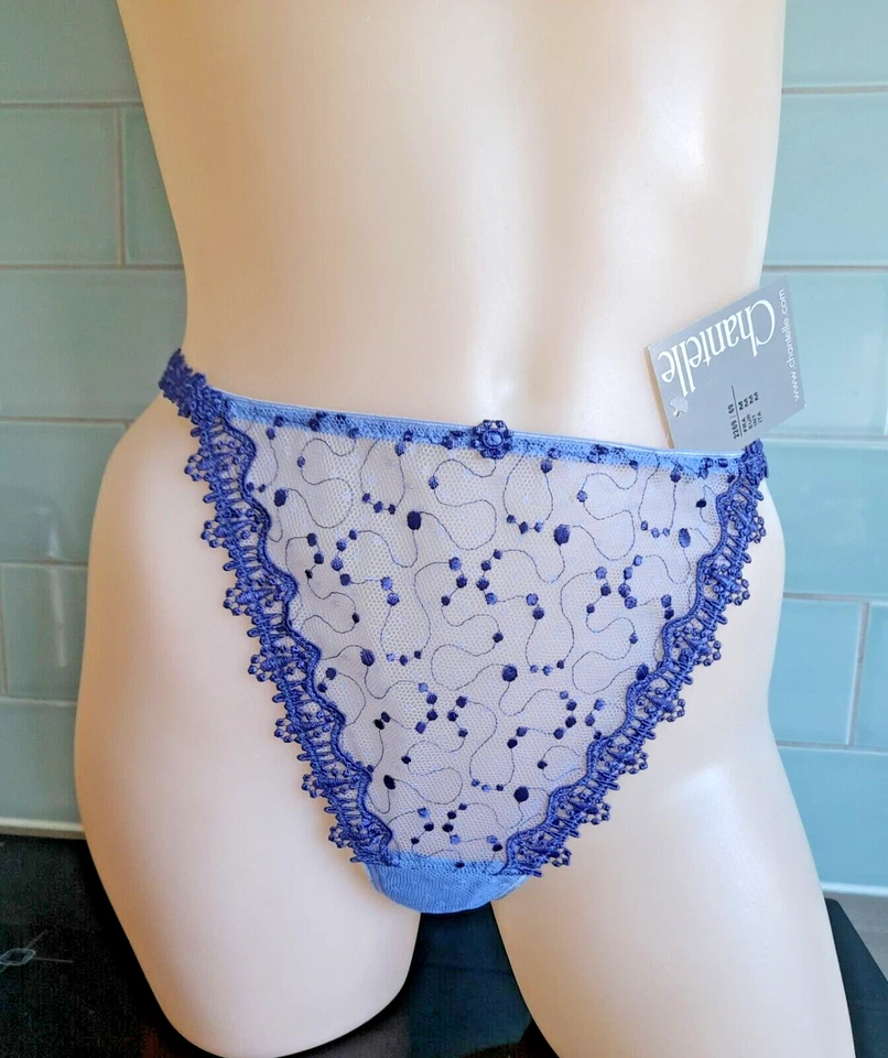 Tanga Chantelle Lila MAESTRIA 2269 Bordada Malla y Encaje Cuerda Lateral M Foto 4 de 4