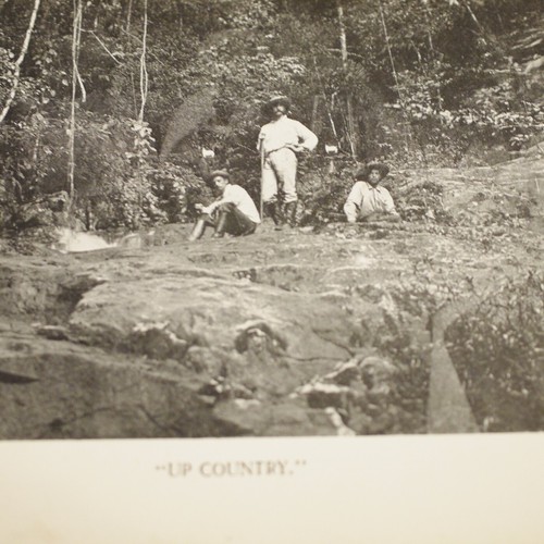 ** Rare Signed ** Walter J Gadsby On The Shores of the Caribbean Sea 1913 - Picture 10 of 11