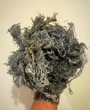 RARE Raw Caribbean GREEN Sea Moss - Dr Sebi Type Irish Moss- 1 Lb