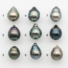 11-12mm Tahitian Pearl, Loose Undrilled with High Luster and for Jewelry Making