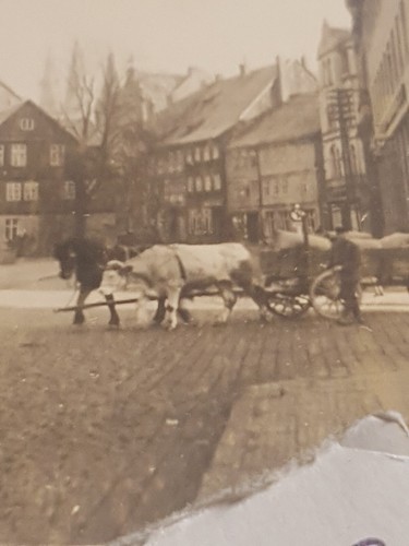 Fotos Osten Polen Przemysl Karpartenvorland+Stadt,Stadtansicht???+mehr orig - Picture 6 of 12