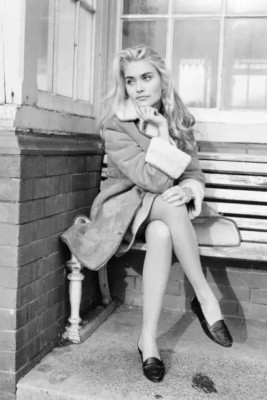 Alexandra Bastedo Schauspielerin 4x6 Foto 