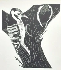 Daglish WOODPECKER Print Art Deco Woodcut Woodblock 1920