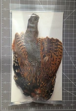Black Francolin Skin, Grade A