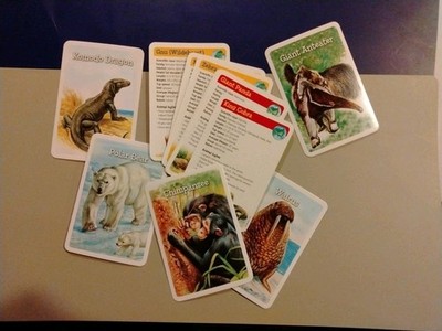 Bendon Inc. (You Pick) 2020 ANIMALS OF THE WORLD large flash cards Free Ship