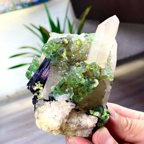 1,06LB Campione di cristallo di fluorite cubico verde trasparente raro naturale - Foto 15 di 21