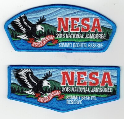 NESA - 2013 Nat. Jamboree ''SCHOLARSHIP'' CSP/Flap SET - NEW & Very MINT!!!!!