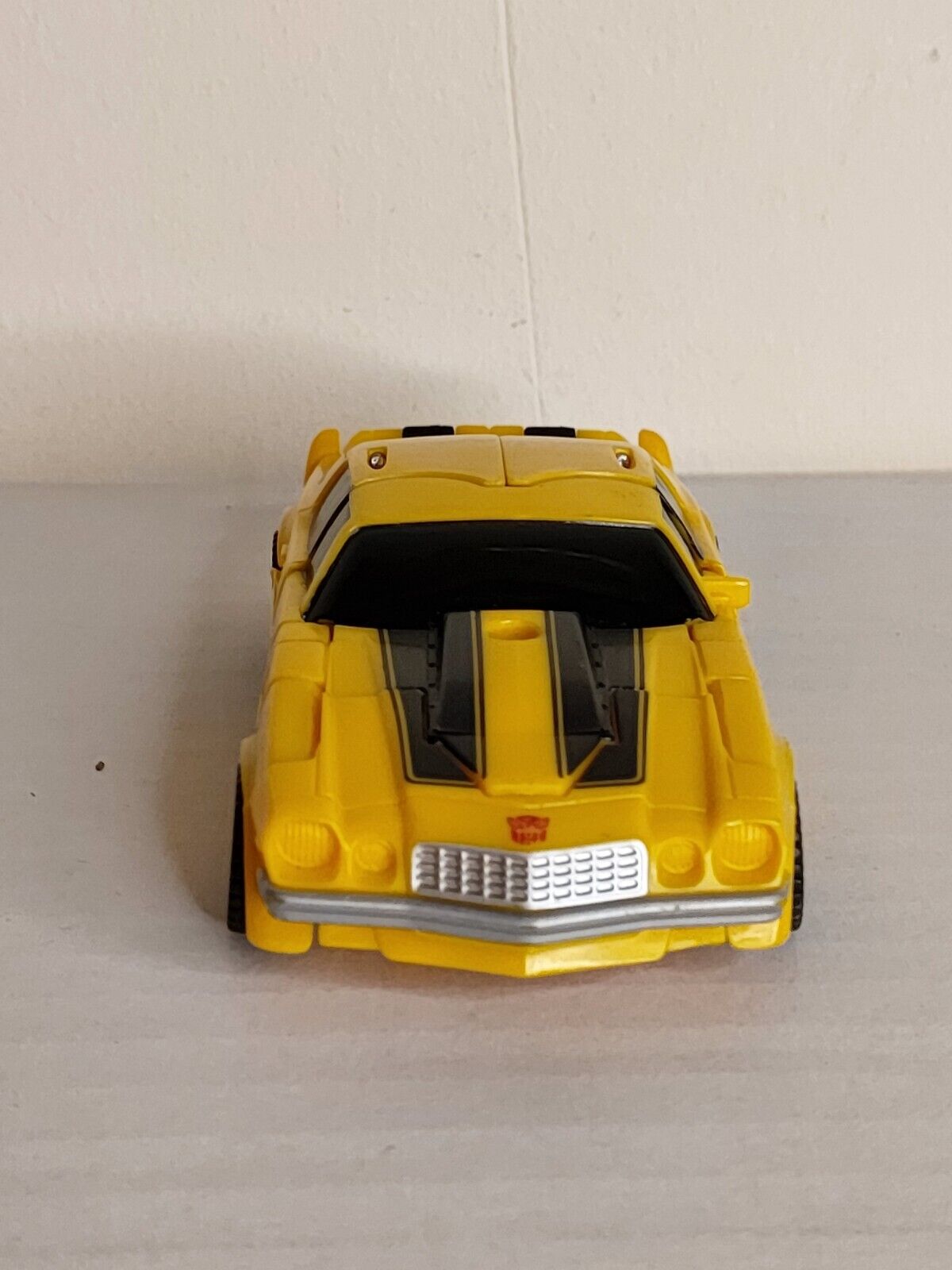 Picture 6 of 12