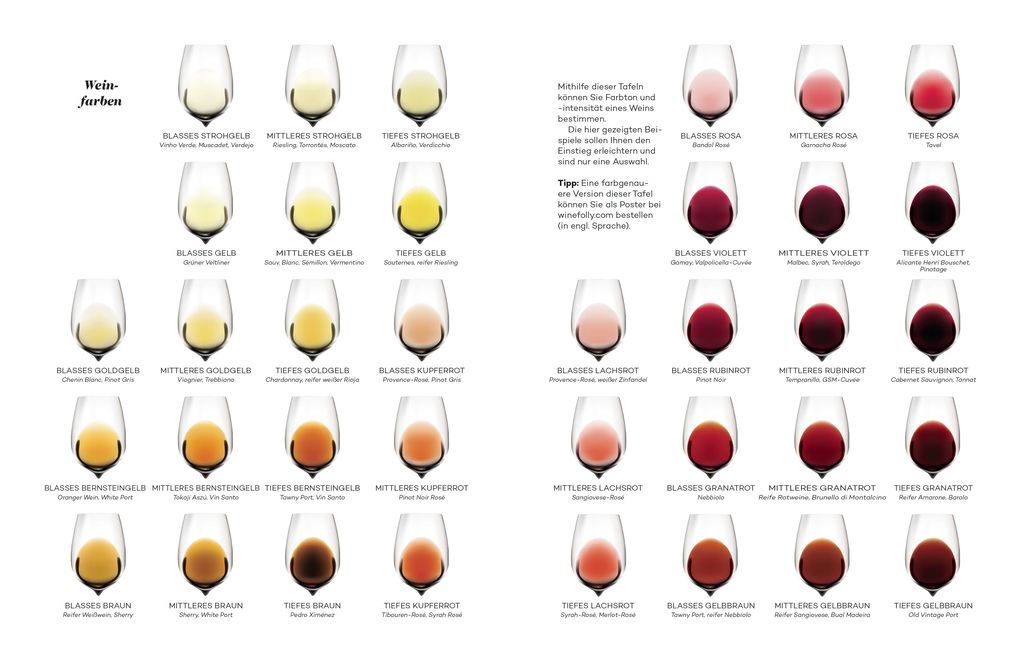 Thumbnail - Der Master-wein-guide | Madeline Puckette, Justin Hammack | 2019 |