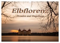 Sergej Zinoviev | Elbflorenz - Dresden Und Umgebung (Wandkalender 2026 DIN A3...