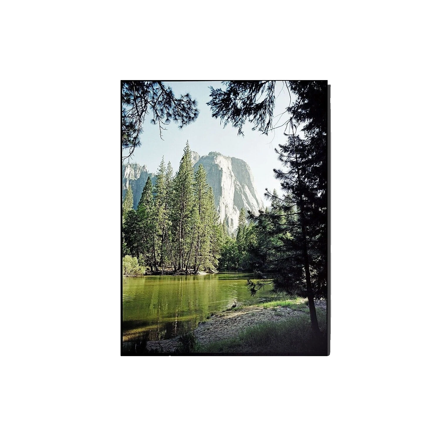Acrylic Nature Picture Frames