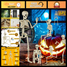 6 Pack Posable Skeleton Halloween Decorations - 16" Full Body Props for Yard, In