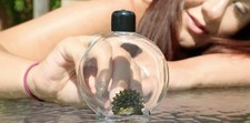 Colorful Ferrofluid in a Bottle Gold
