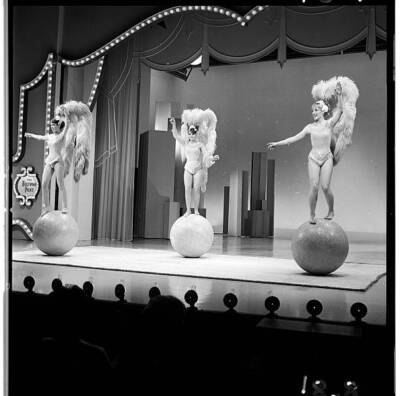 The Rogge Sisters Performing on TV 1966 The Hollywood Palace Old Photo 5