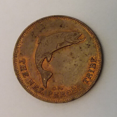 Chief Joseph The Nex Perces Tribe Souvenir Coin Token 26mm | eBay