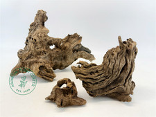 Driftwood Multilayer / Aquarium D cor / Terrarium / Shrimp Tank / Aquascaping