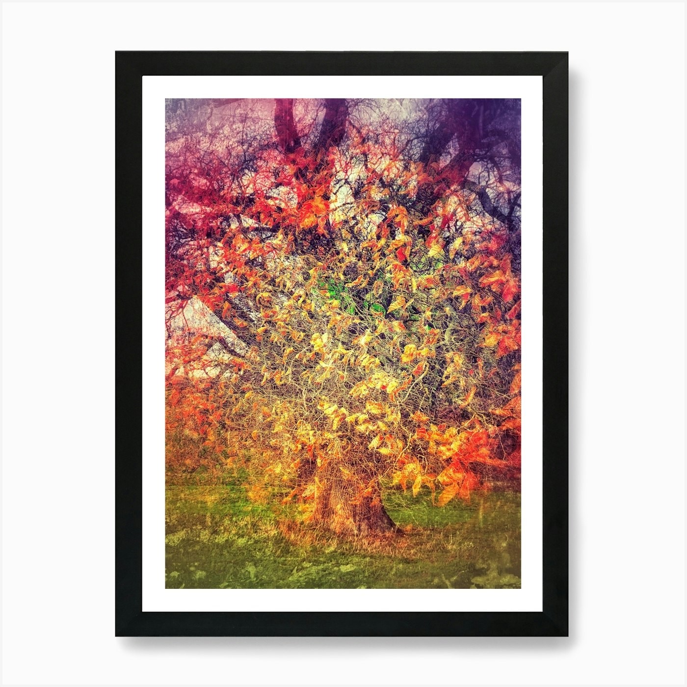 Abstract Multicolor Trees Framed Wall Art Canvas Print