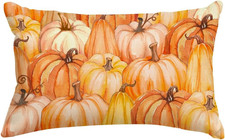 Fall Thanksgiving Pumpkin Throw Pillow Covers 12X20 Inch,Orange Autumn Farmhosue