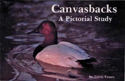 Tricia Veasey Canvasbacks (Paperback) (UK IMPORT)