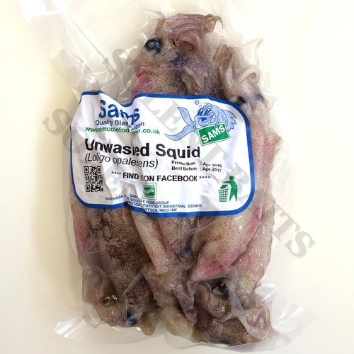 10 packs of Sams Dirty Squid frozen sea fishing bait eBay
