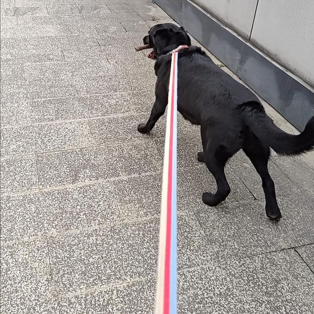 10FT / 15FT / 20FT Anti-Choke Slip Lead Dog Leash, 1” Wide Soft Thick Long Tr...