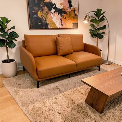Latitude Run Orange Genuine Leather Standard Sofa Cushion Loveseat