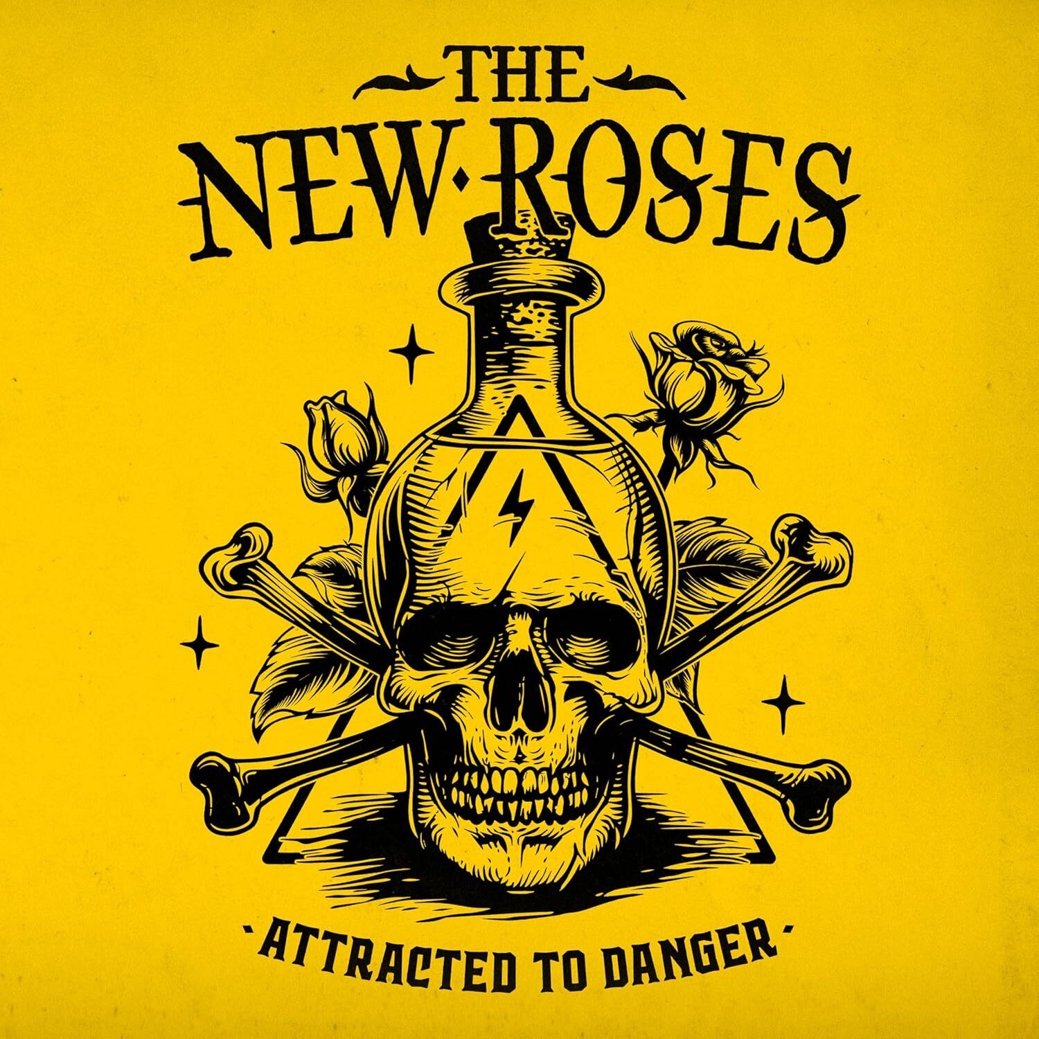 Новый альбом Roses Attracted to Danger (винил), 12 альбомов (в обложке Gatefold) (ИМПОРТ из Великобритании)