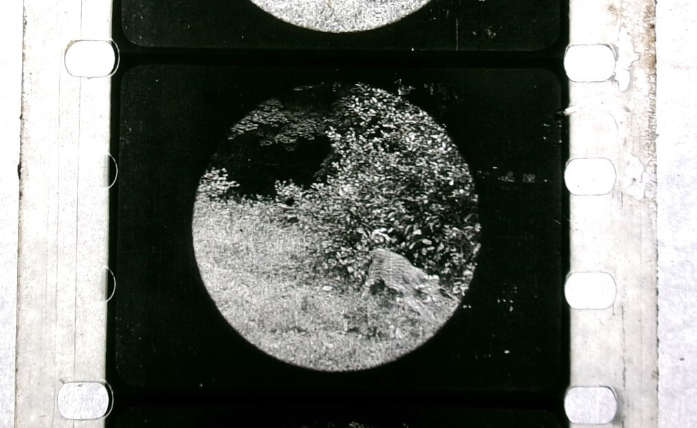 Picture 9 of 19