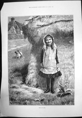 Antiker alter Druck Versteck Herbert Puppenmann Kind Bauernhof Hund Heuhaufen 1884