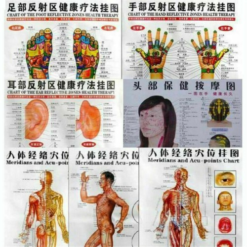 7pcs English Acupuncture Meridian Acupressure Points Posters Chart Wall Map - Picture 3 of 11