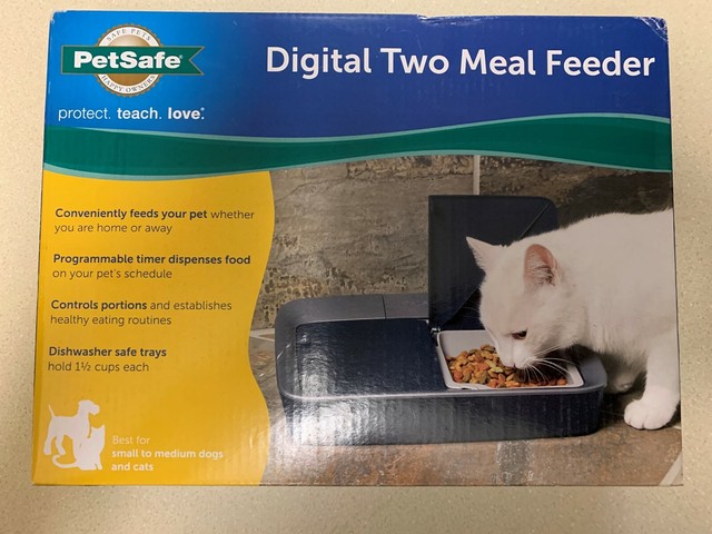 digital two meal feeder