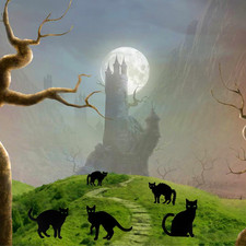 6 Pack Halloween Black Cat Yard Signs with Stakes Scary Silhouette Halloween ...