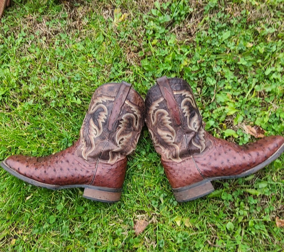 Botas de vaquero de cuero de avestruz Dan Post Alamosa para hombre talla 11,5 Ew Foto 4 de 4