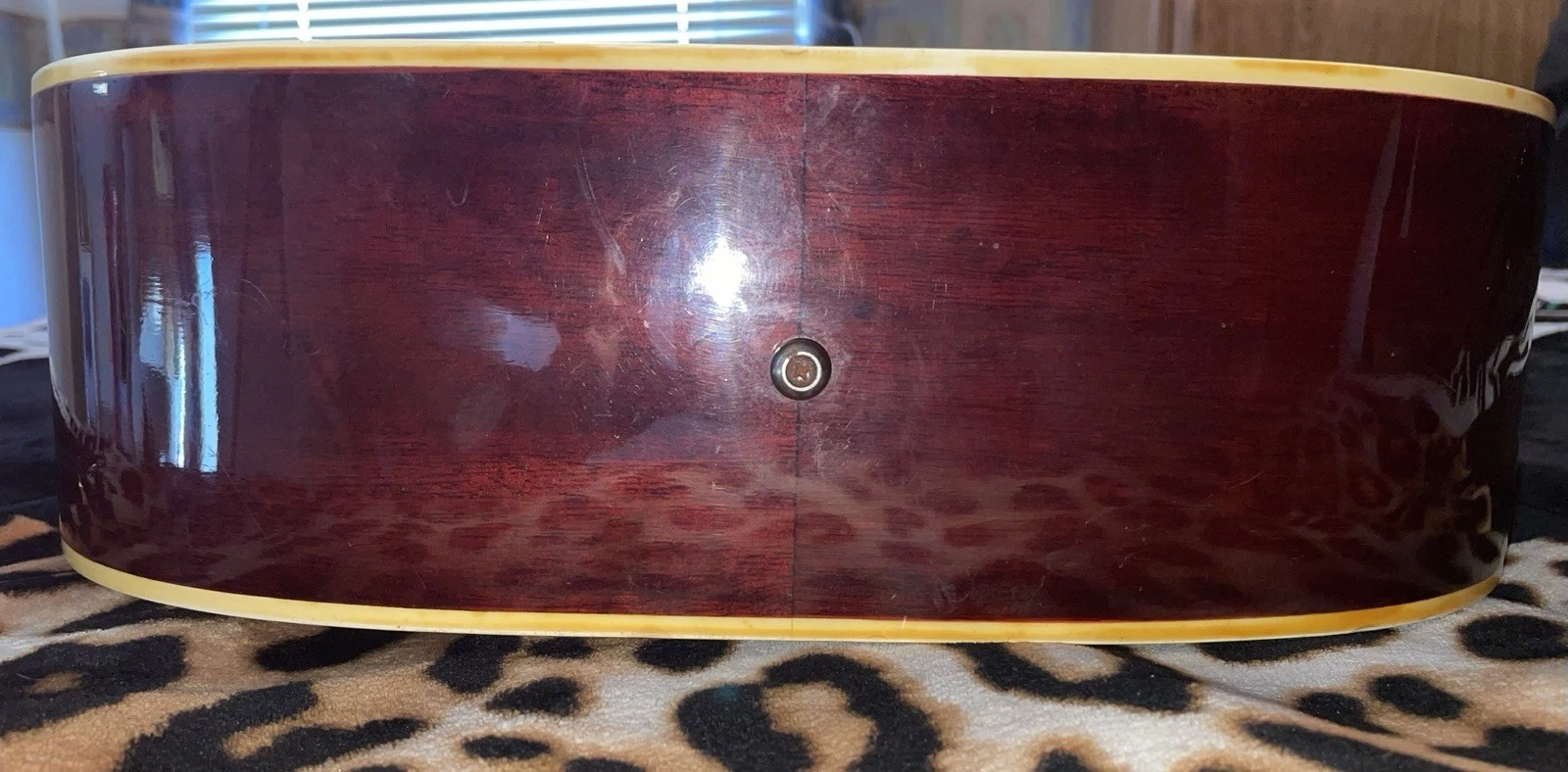 Picture 12 of 19
