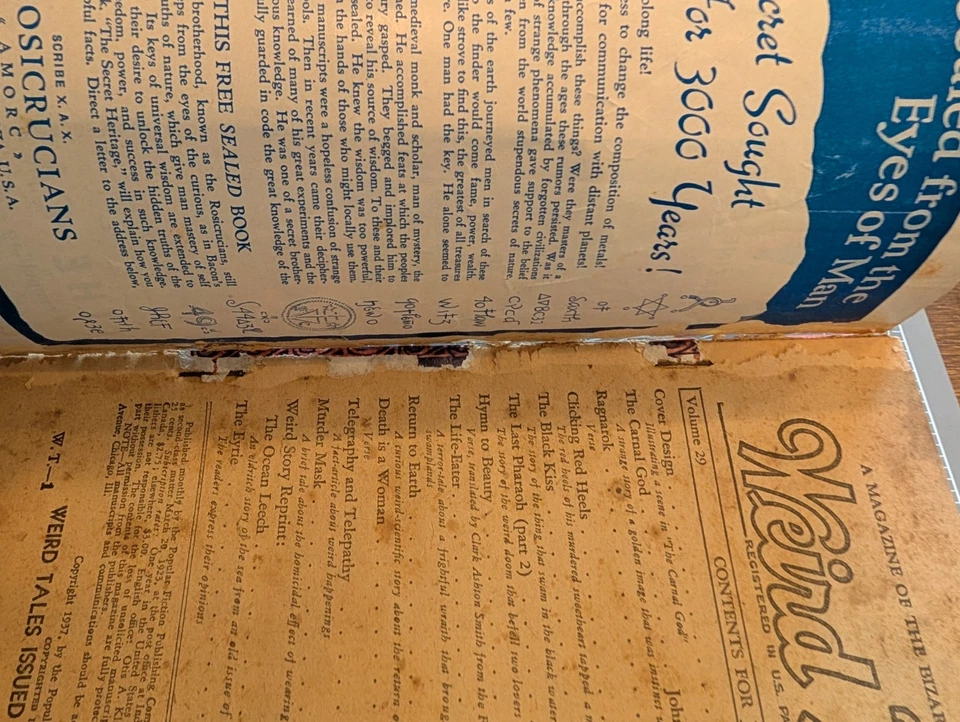 ICONIC BRUNDAGE COVER WEIRD TALES Pulp JUN 1937 | GGA | "The Carnal God" Married - Image 4 of 4