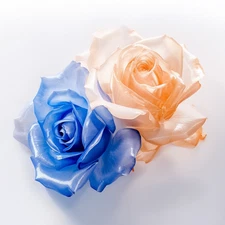 Digital Photo Fram Rose-00104 High Resolution Printable PNG File