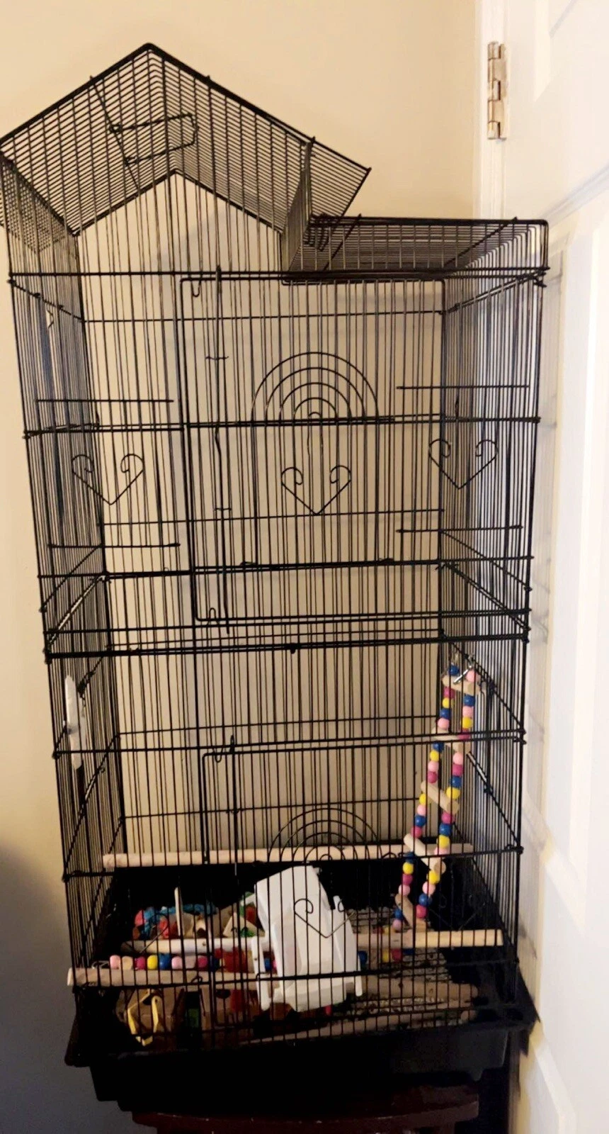 Bird Cage