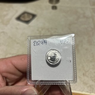 2024 1/10oz Platinum Britannia
