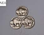 1913+1913-D+1913-S Buffalo Nickel Set/Lot ~ Type 1 ~ ZBL21