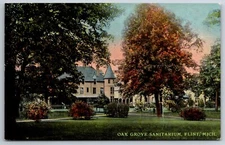 Flint Michigan~Oak Grove Sanitarium~Corner Turret~Insane Asylum in Autumn c1910