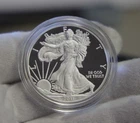 2011 W (Proof) Silver Eagle $1 Nice Cameo