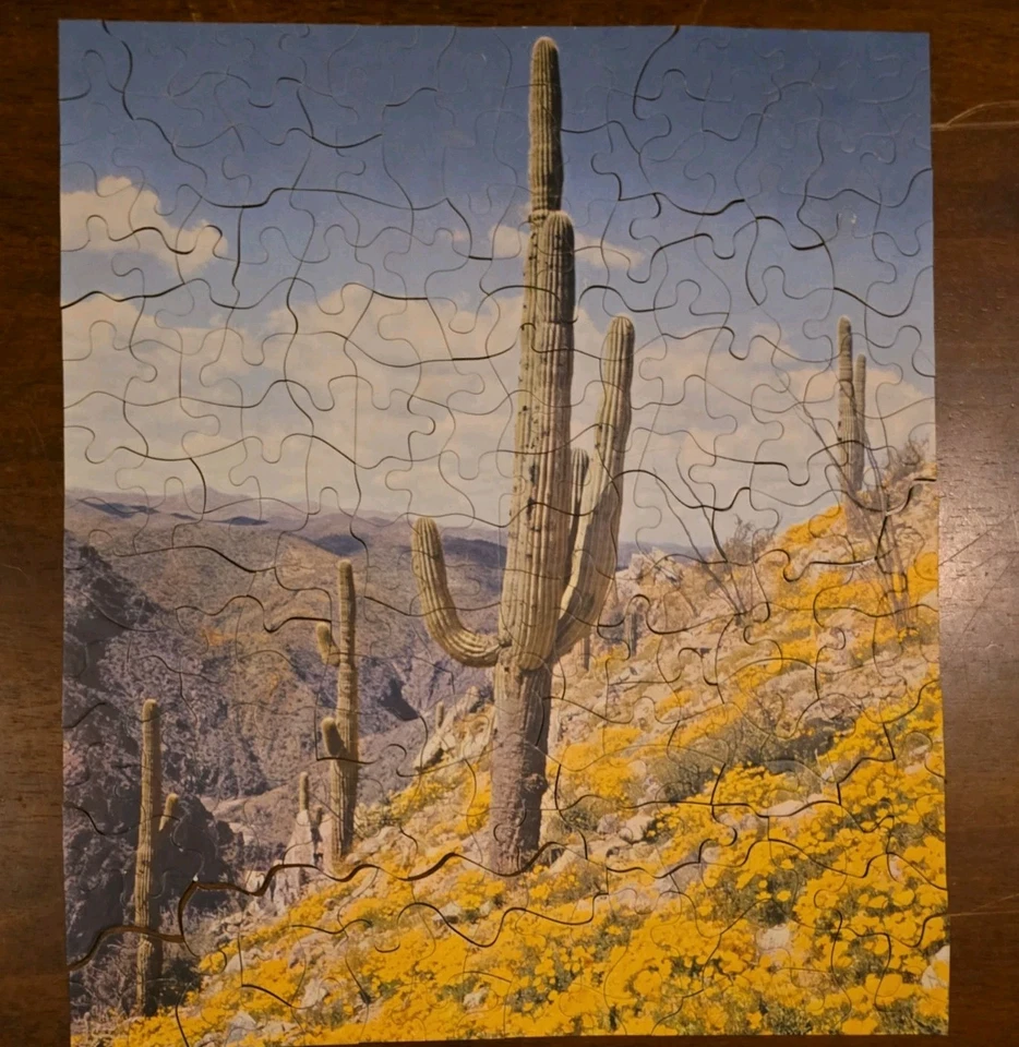 Gremio 304 piezas vintage años 50 - Serie 116 arado de resorte 14 x 18 excelente estado Foto 2 de 4