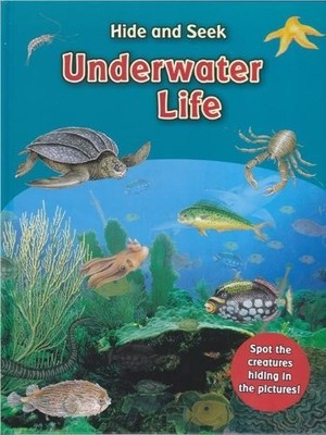 Hide & Seek Underwater Life find the sea creatures h...